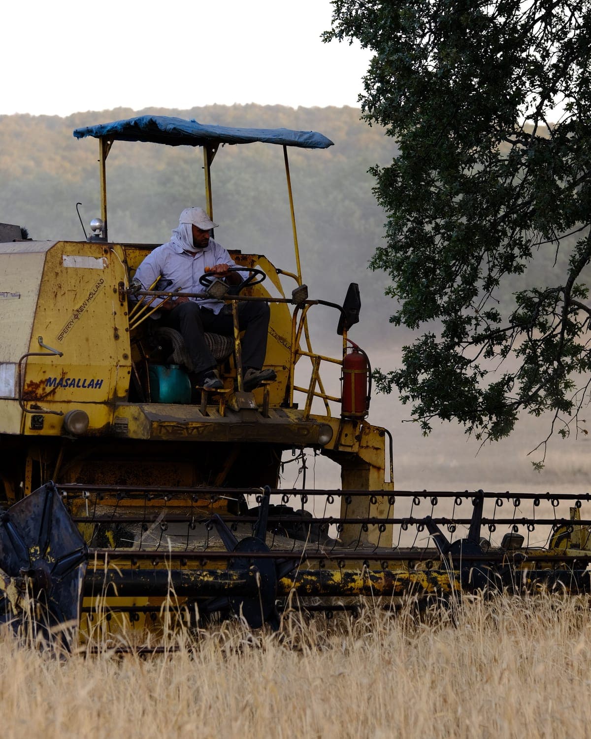 Terreno agrícola